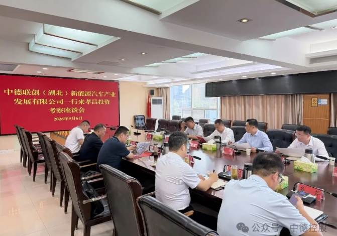 再下一城 | 中德联创新能源汽车下乡落地孝昌